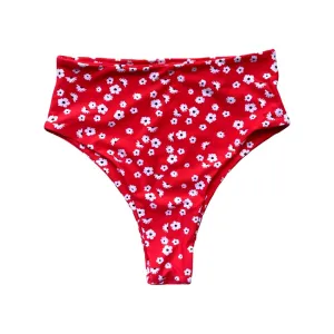 BAUDOUIN BIKINI BOTTOMS IN FLORAL SANGRIA
