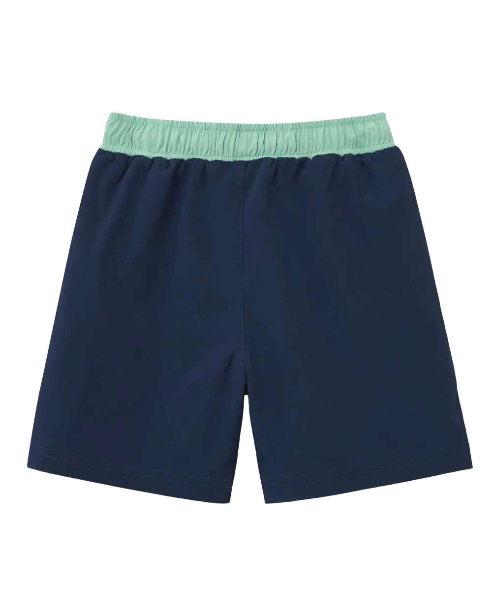 Boys The Dino Swimshorts in Green