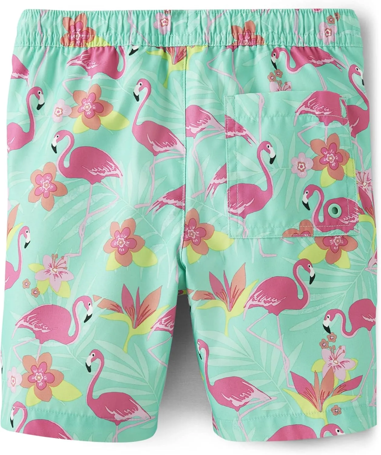 Gymboree boys And Toddler Swim Trunks
