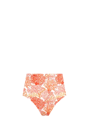 High Waist Bikini Bottom