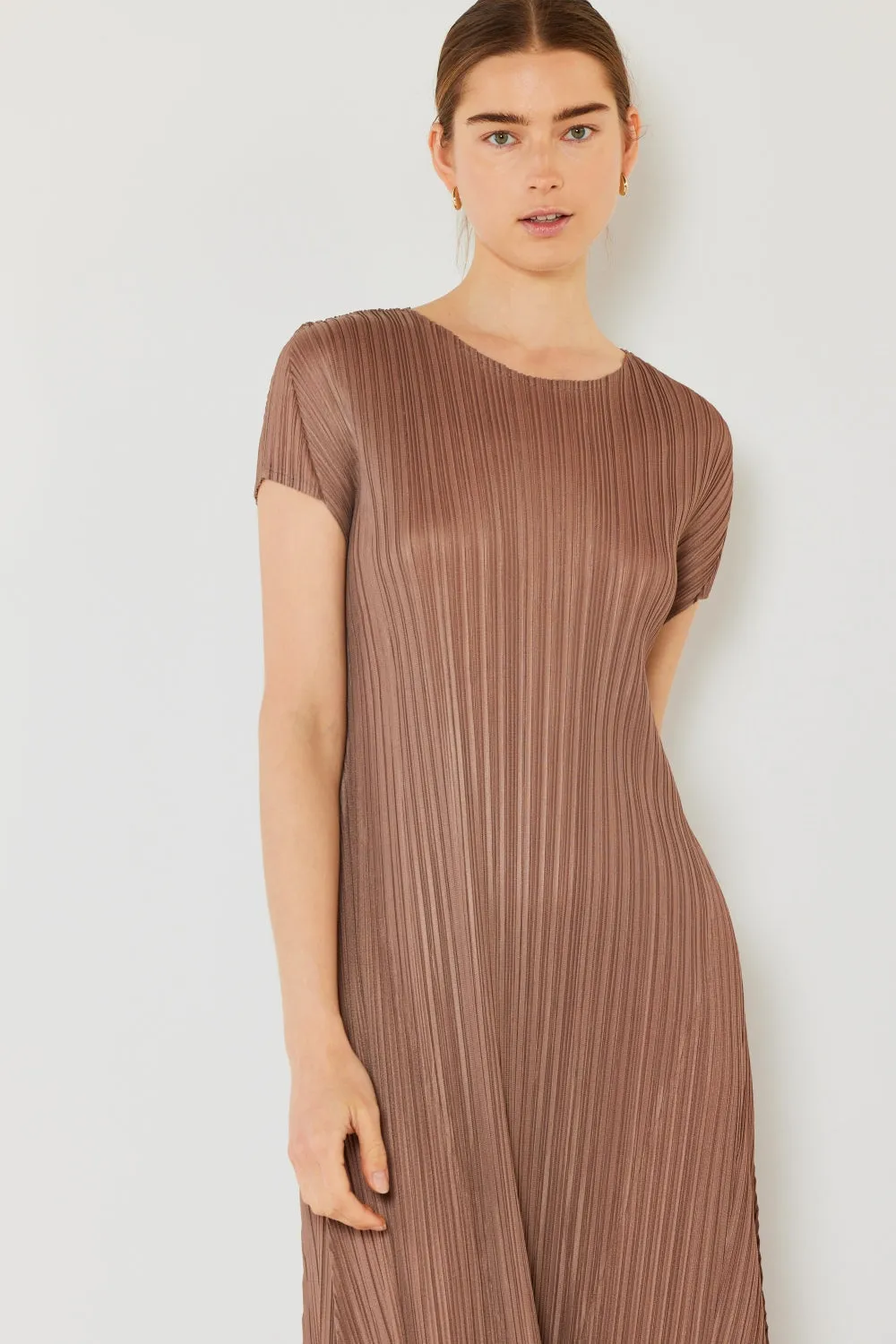Mary Pleated Cap Sleeve A-Line Dress