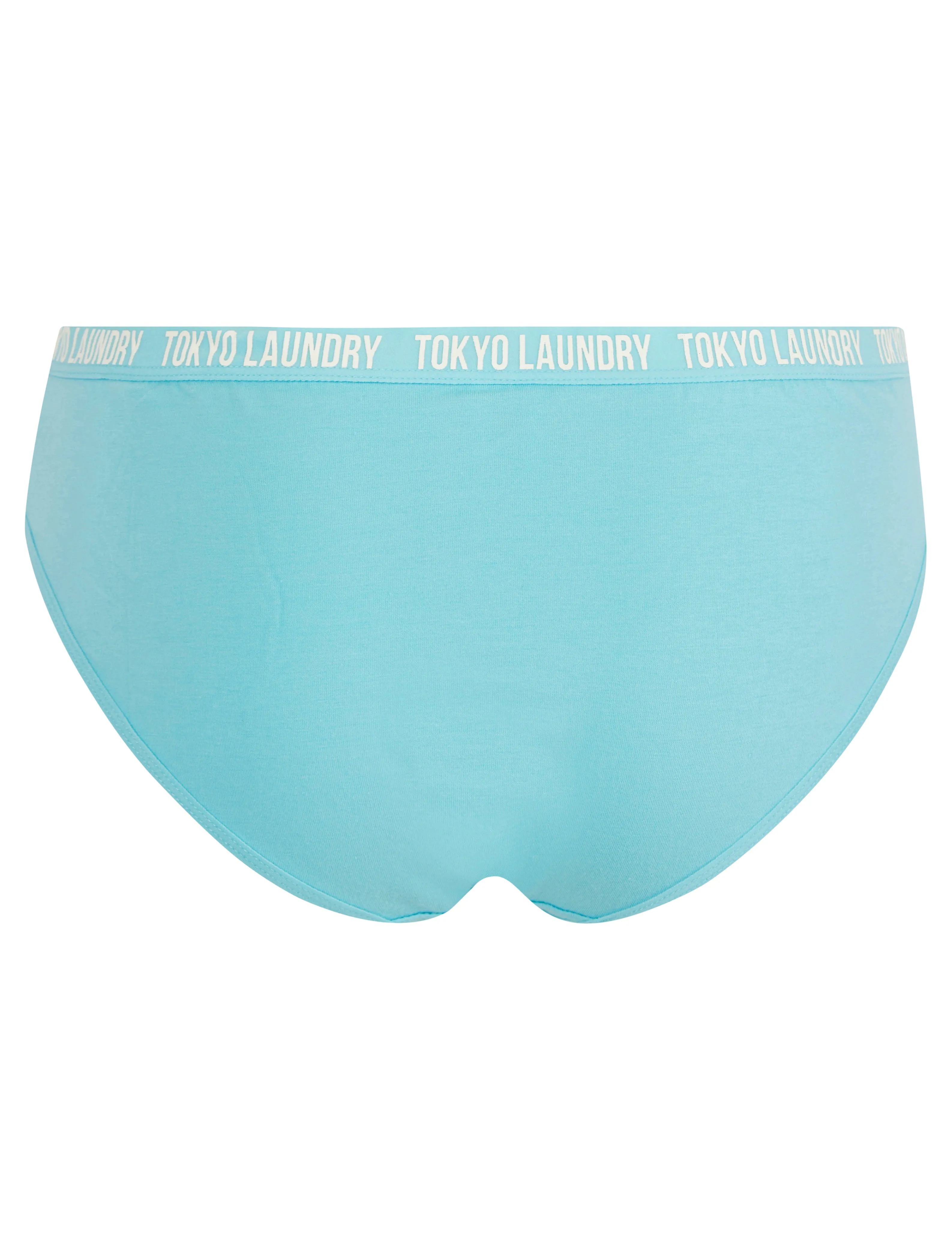 Robyn (5 Pack) Cotton Assorted Briefs in Jet Stream / Patina Green / Light Grey Marl / Blue Topaz / Fuchsia Purple - Tokyo Laundry