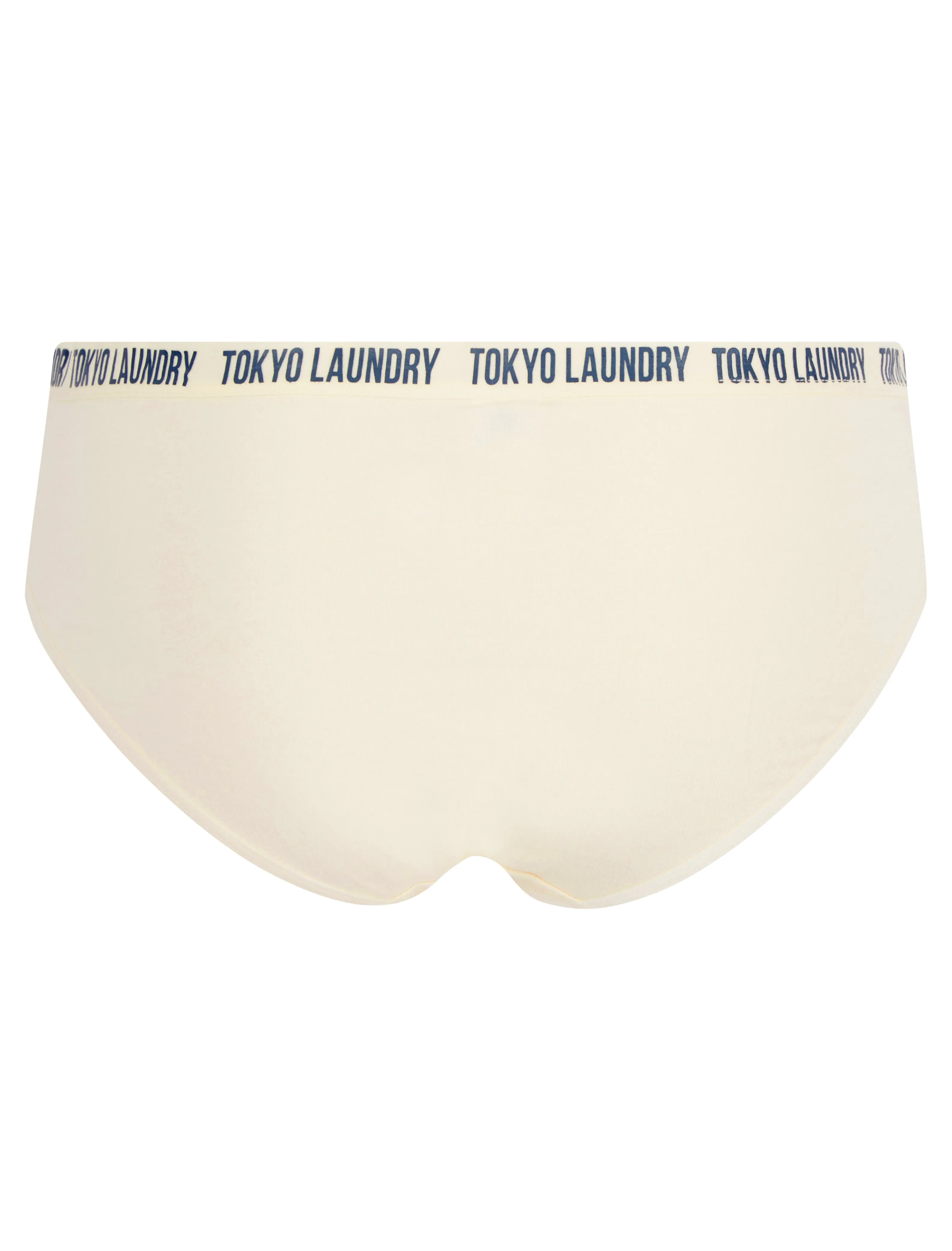 Robyn (5 Pack) Cotton Assorted Briefs in Jet Stream / Patina Green / Light Grey Marl / Blue Topaz / Fuchsia Purple - Tokyo Laundry