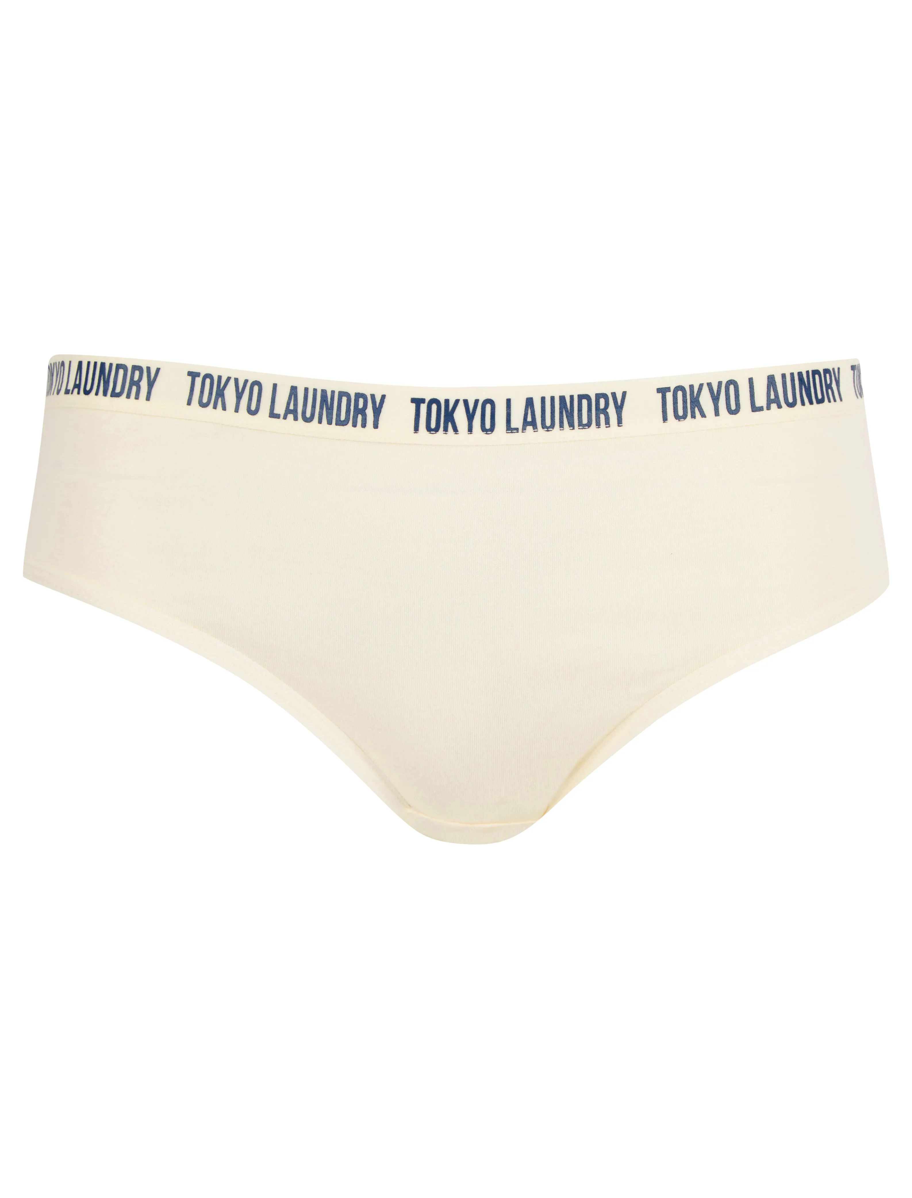 Robyn (5 Pack) Cotton Assorted Briefs in Jet Stream / Patina Green / Light Grey Marl / Blue Topaz / Fuchsia Purple - Tokyo Laundry