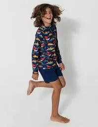 Sandbar - Rash Guard - Surfing Dinosaur