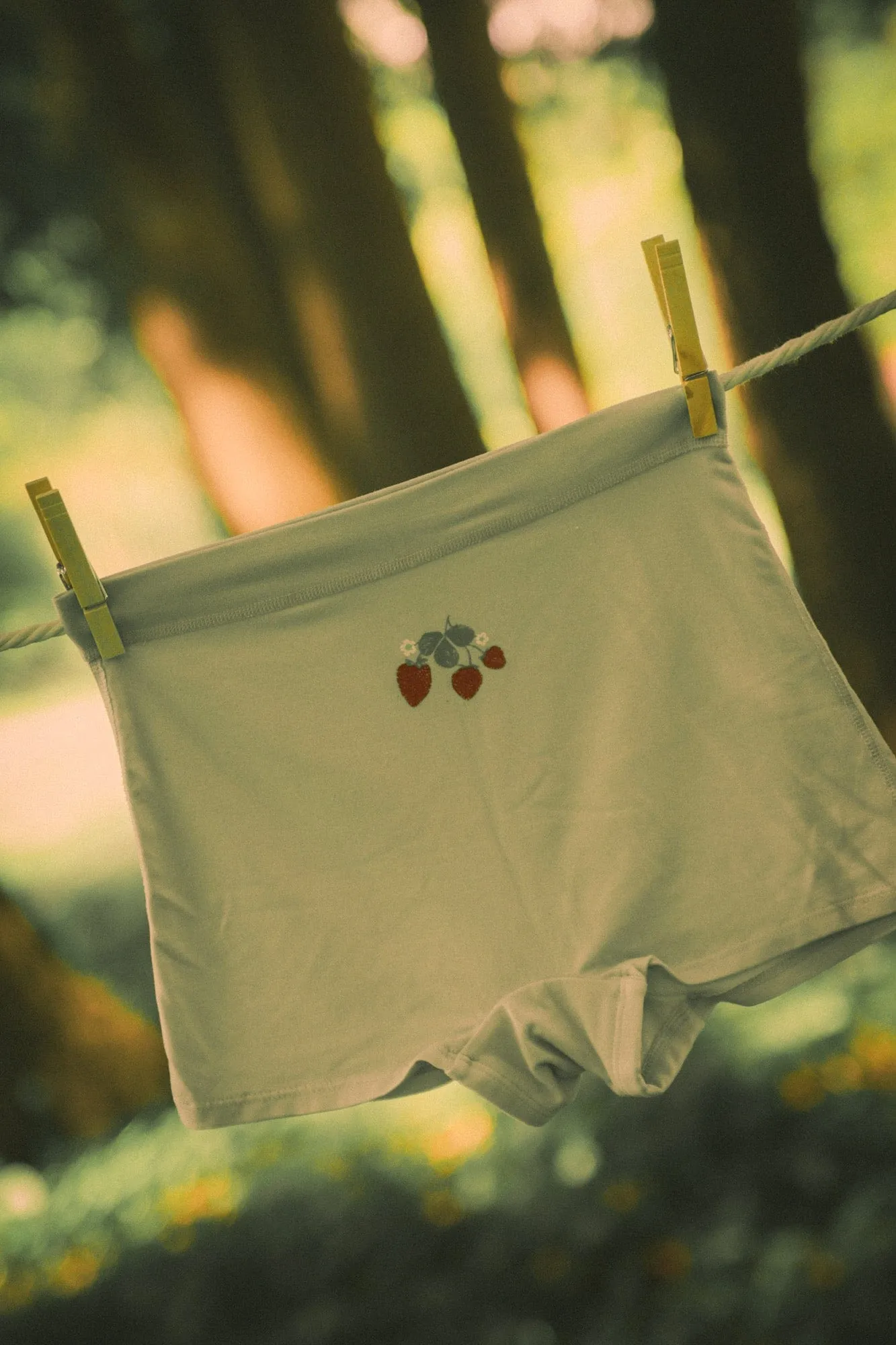 Wild Strawberry Boyshorts