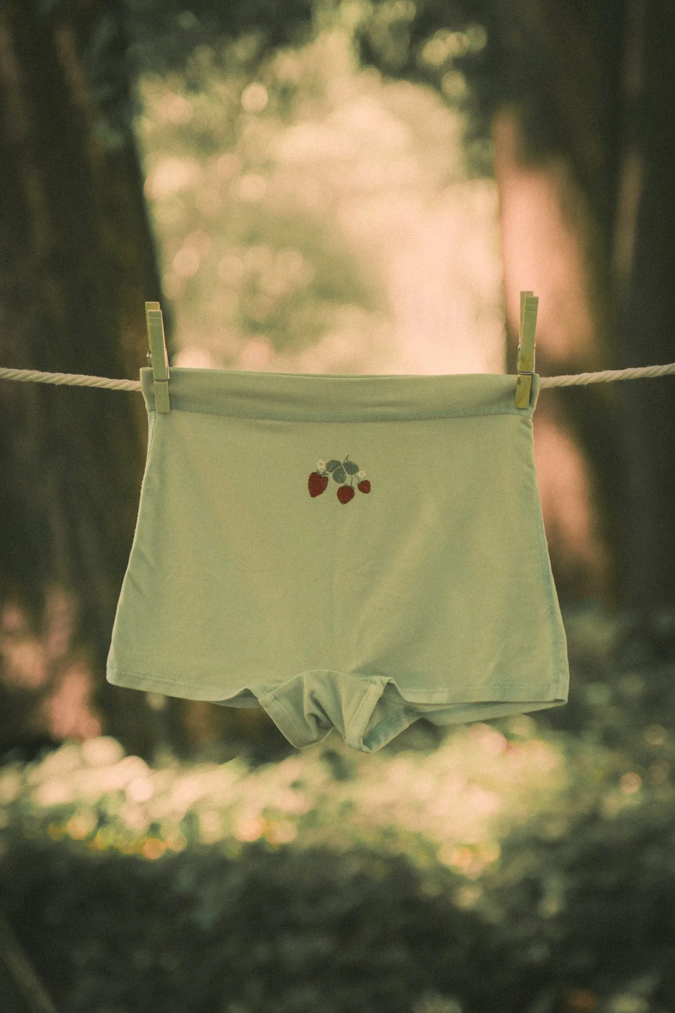 Wild Strawberry Boyshorts