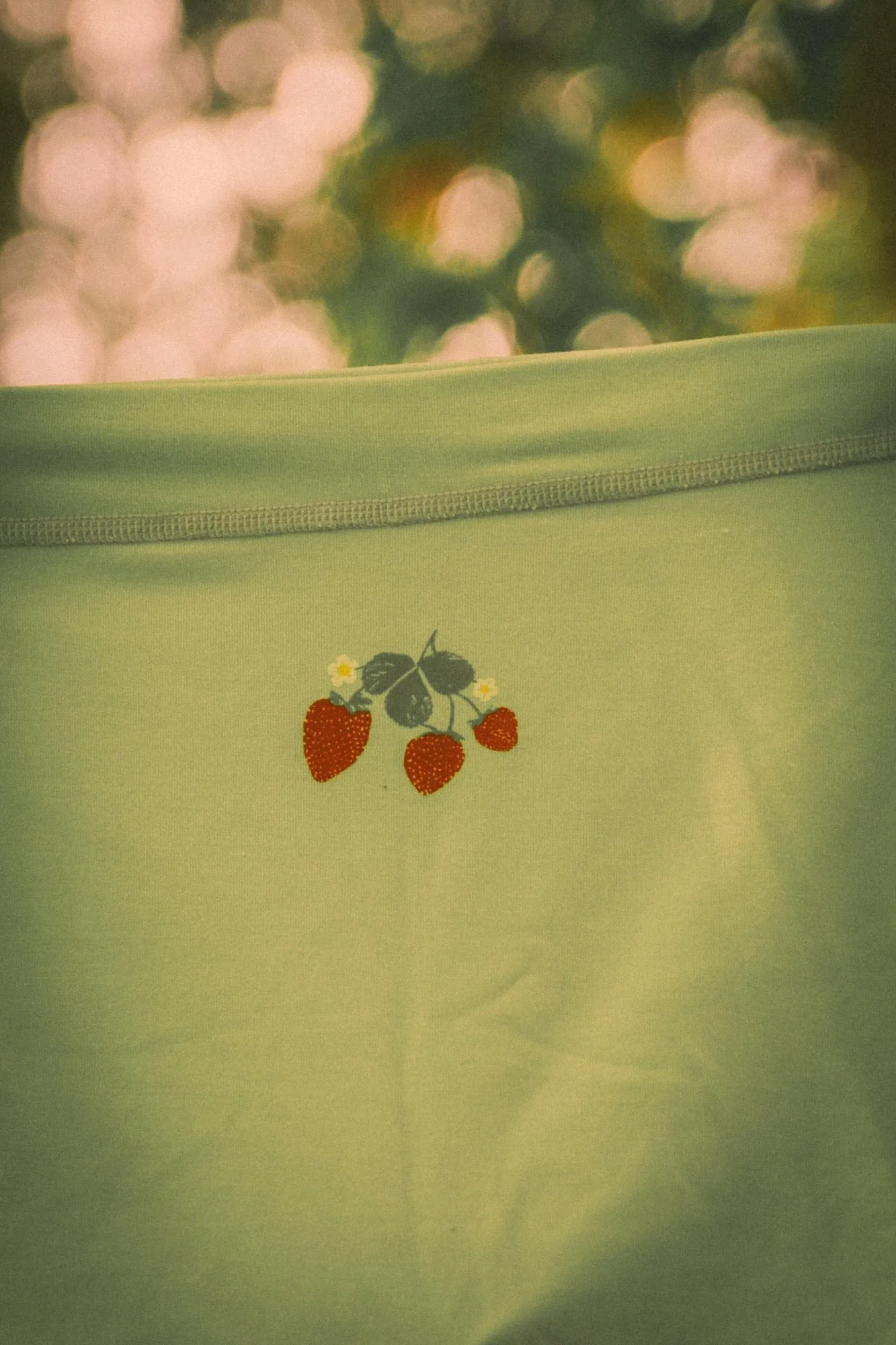 Wild Strawberry Boyshorts