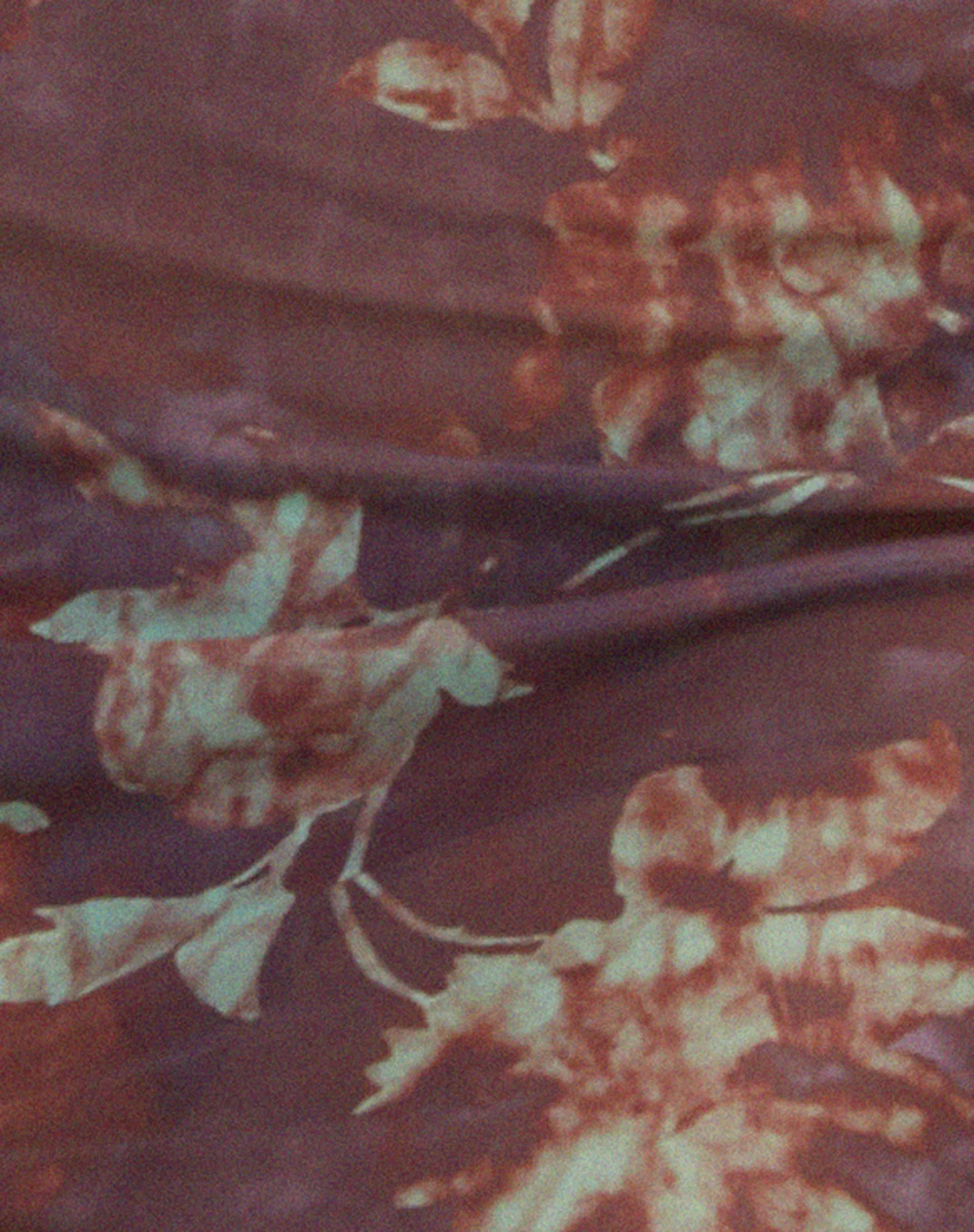 Zemira Long Sleeve Top in Botanical Animal Brown